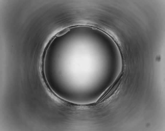 X0000099421136200805091237