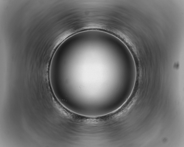 X0000099421137200805091237