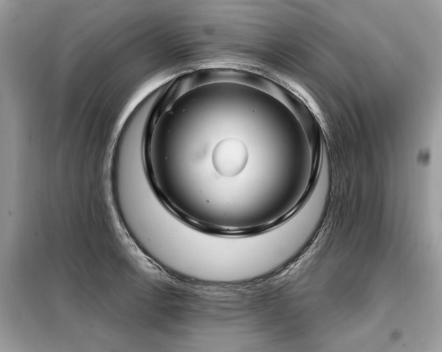 X0000099421138200805091237