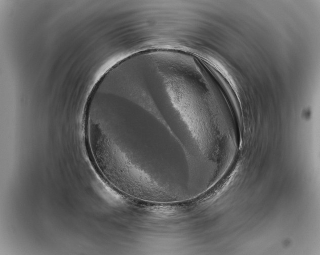 X0000099421141200805091237