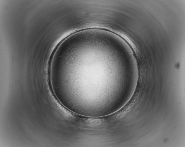 X0000099421142200805091237