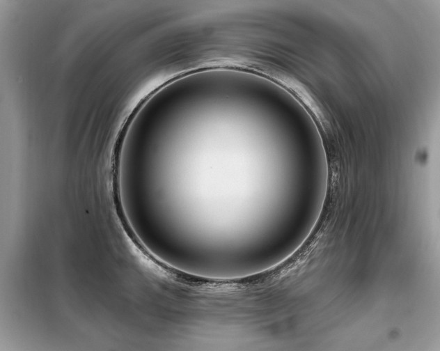 X0000099421143200805091237