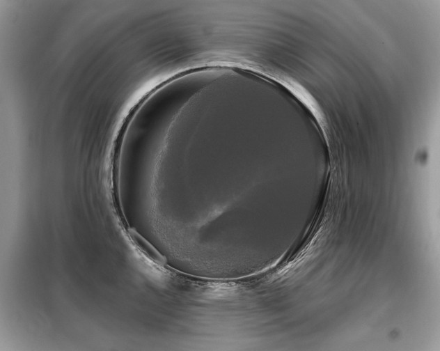 X0000099421144200805091237