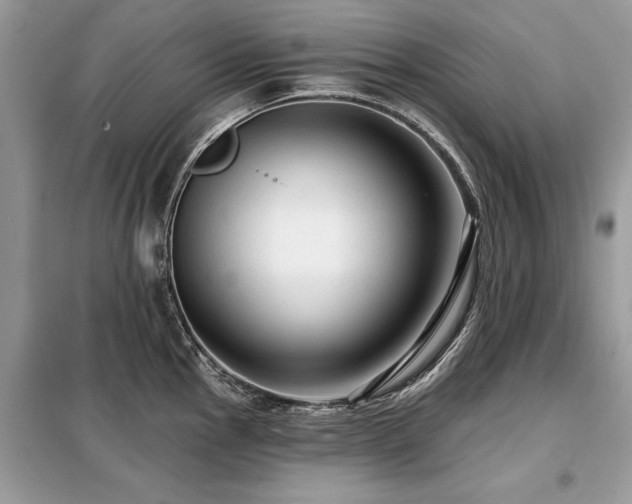 X0000099421145200805091237