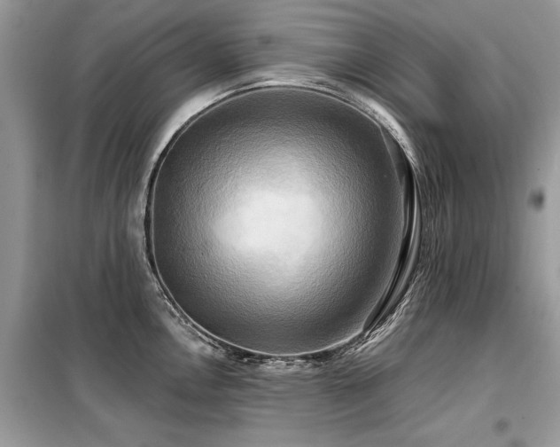 X0000099421146200805091237