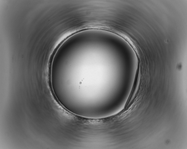 X0000099421147200805091237