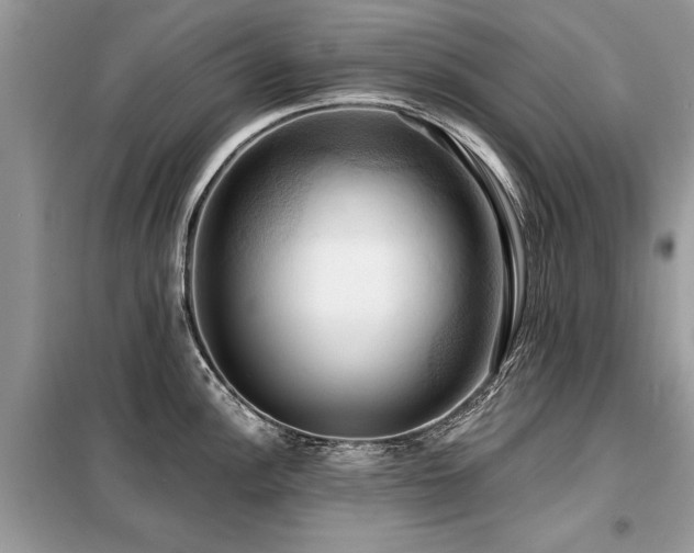 X0000099421148200805091237