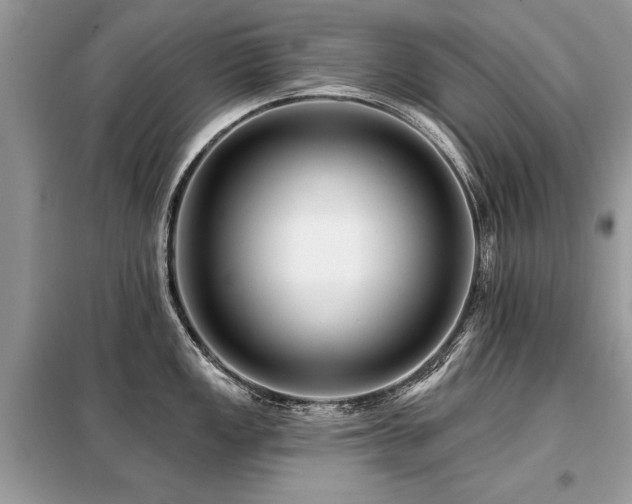 X0000099421149200805091237