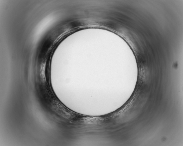 X0000099421150200805091237