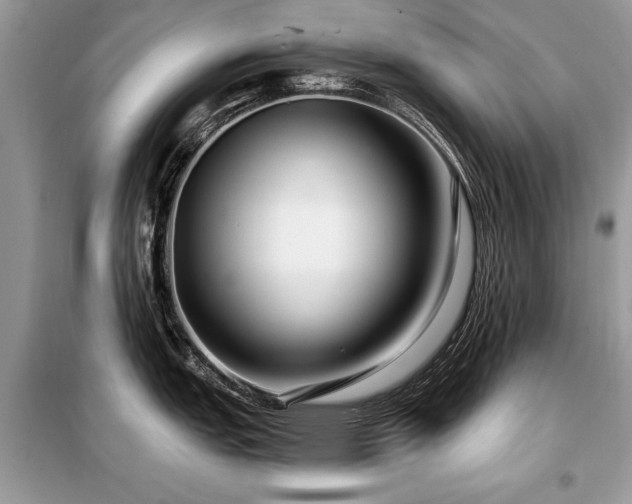 X0000099421151200805091237
