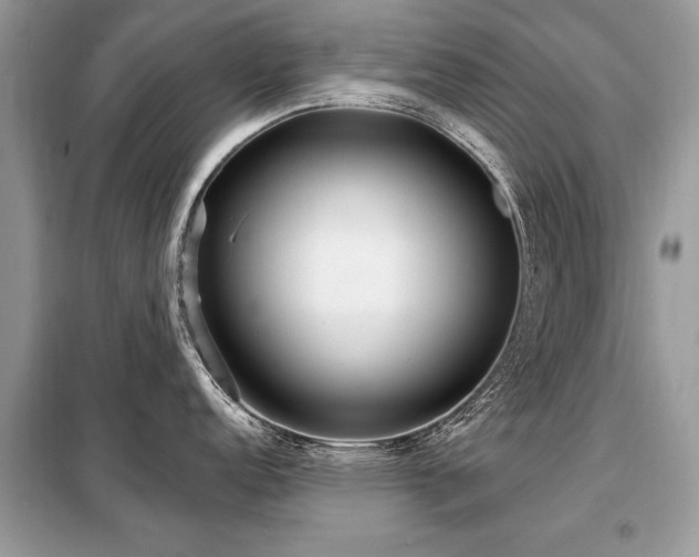X0000099421152200805091237