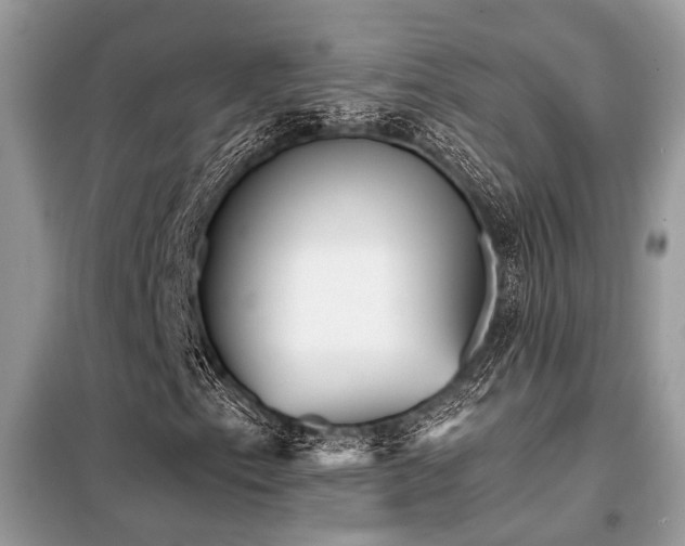 X0000099421153200805091236