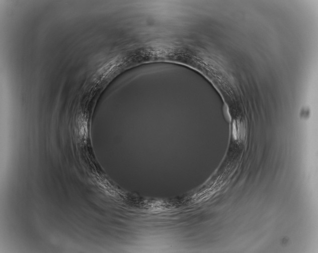 X0000099421155200805091236