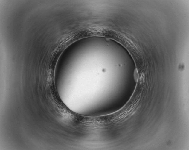 X0000099421156200805091236
