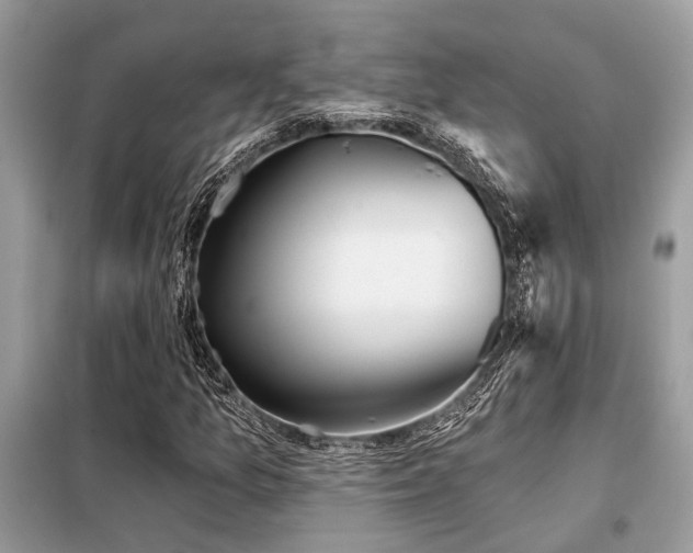 X0000099421157200805091236