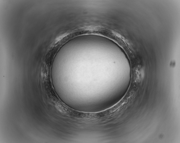 X0000099421158200805091236