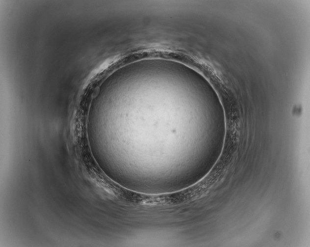 X0000099421159200805091236