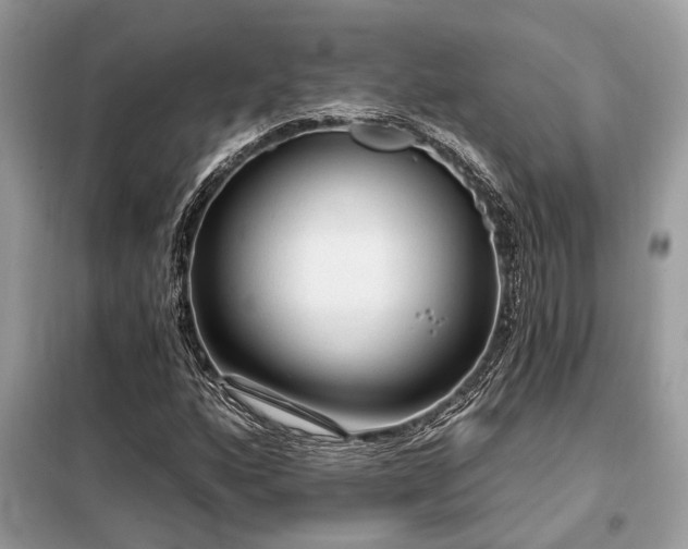 X0000099421160200805091236
