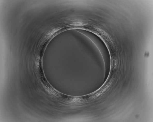 X0000099421161200805091236