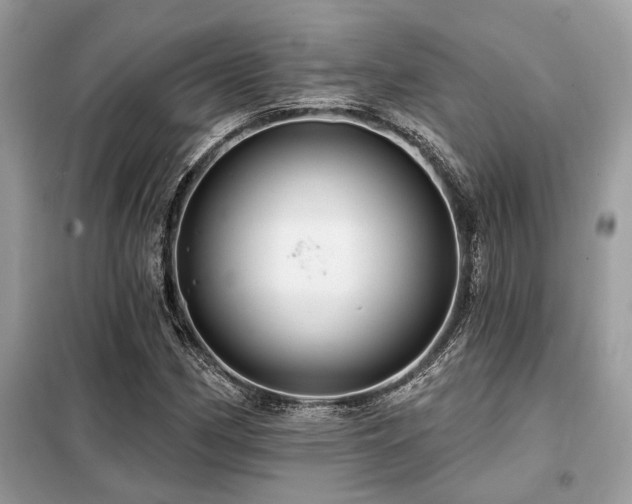 X0000099421162200805091236