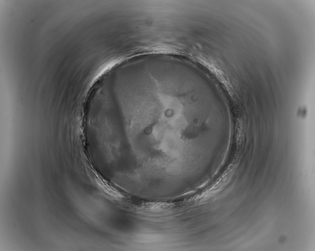 X0000099421163200805091236