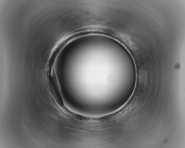 X0000099421164200805091236