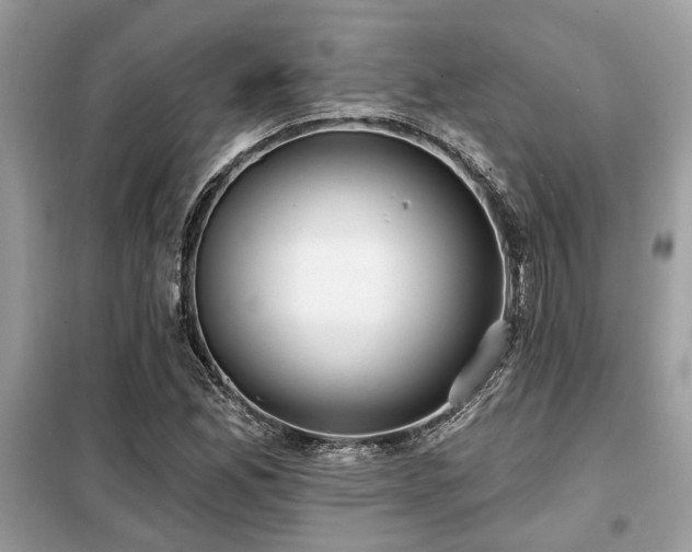 X0000099421165200805091236