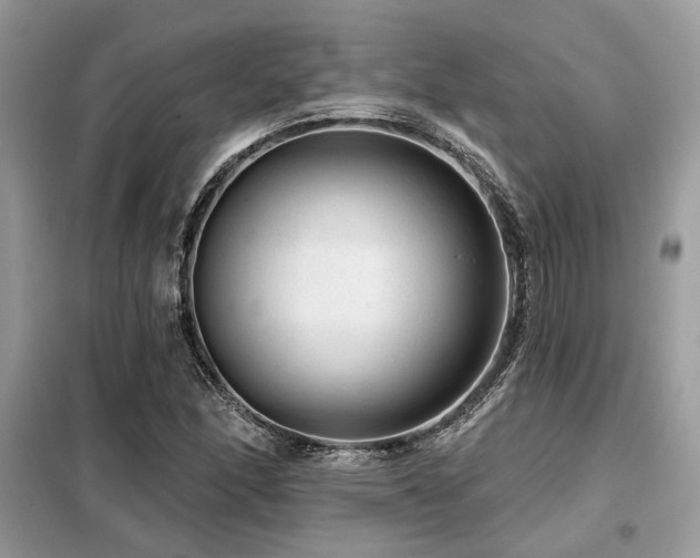 X0000099421166200805091236