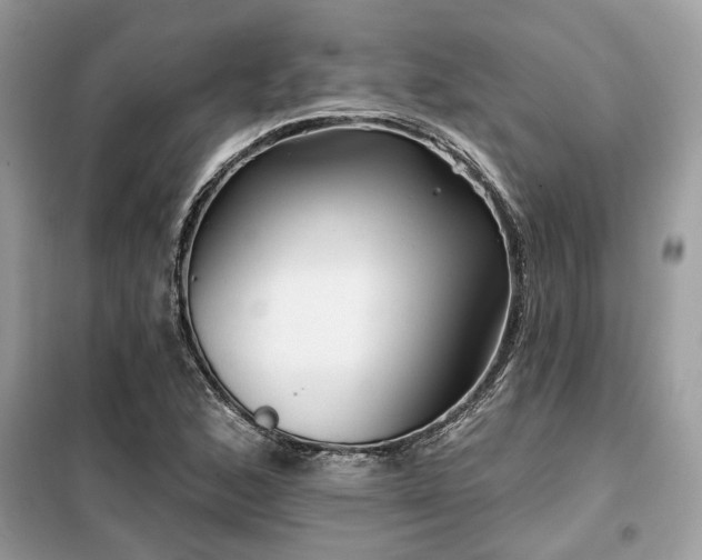 X0000099421168200805091236