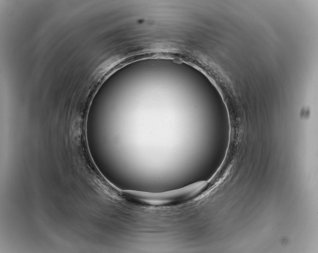X0000099421169200805091236
