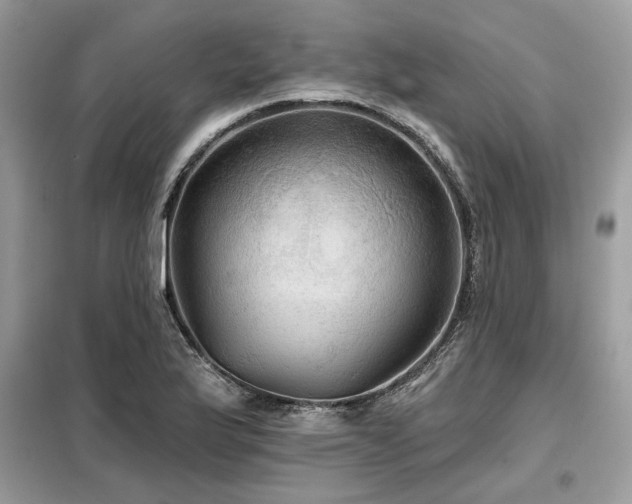 X0000099421175200805091236