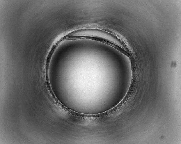 X0000099421176200805091236