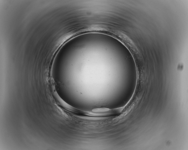 X0000099421177200805091236
