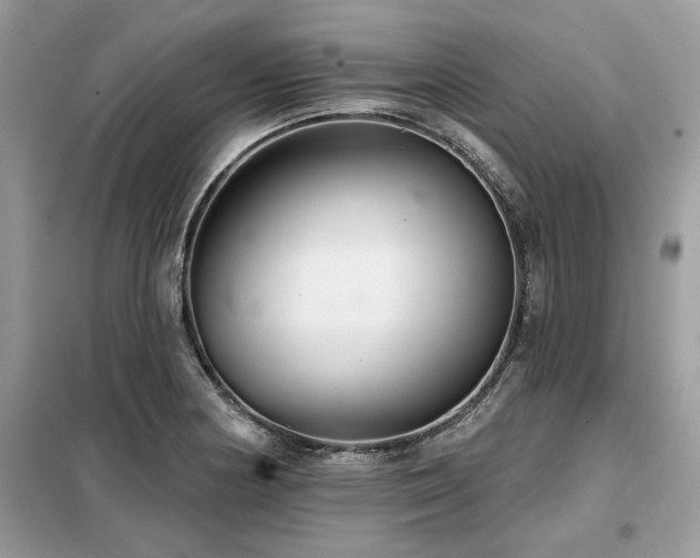 X0000099421178200805091236