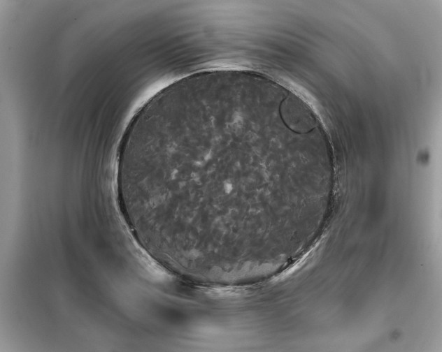 X0000099421179200805091236