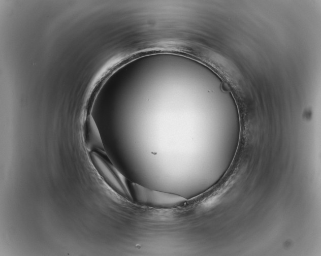 X0000099421180200805091236