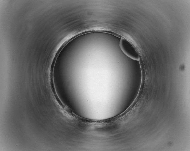 X0000099421181200805091236