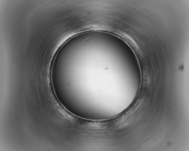 X0000099421182200805091235