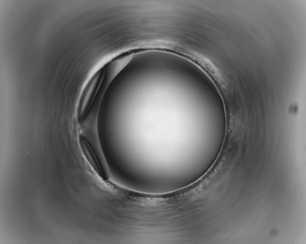 X0000099421184200805091235