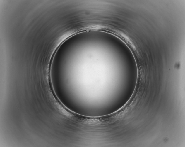 X0000099421186200805091235