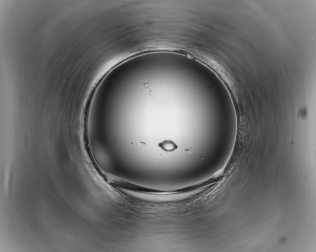 X0000099421187200805091235
