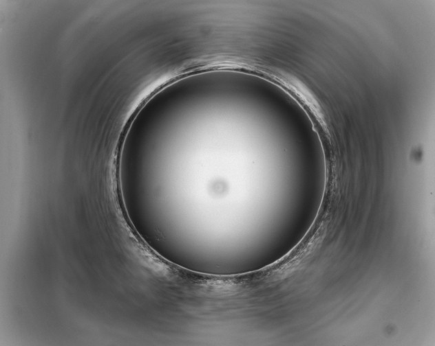 X0000099421190200805091235