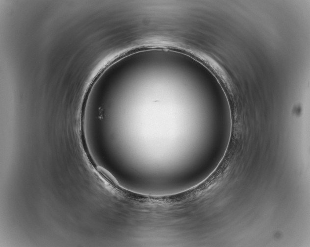 X0000099421191200805091235