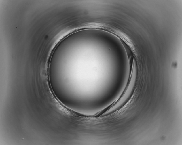 X0000099421192200805091235