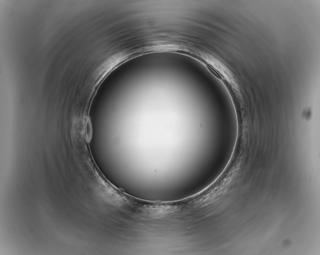 X0000099421193200805091235