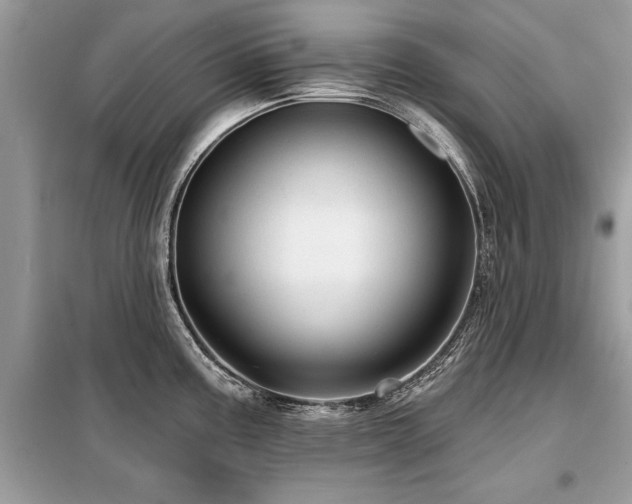 X0000099421195200805091235