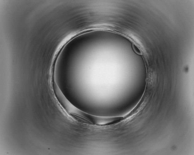 X0000099421196200805091235