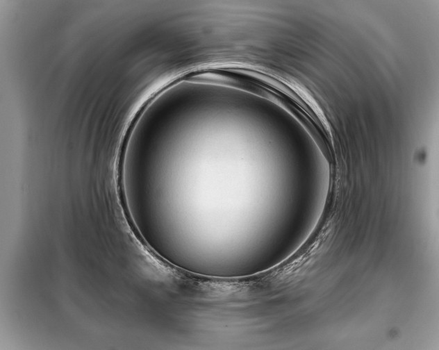 X0000099421197200805091235