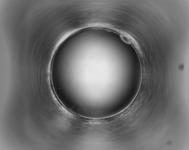 X0000099421199200805091235
