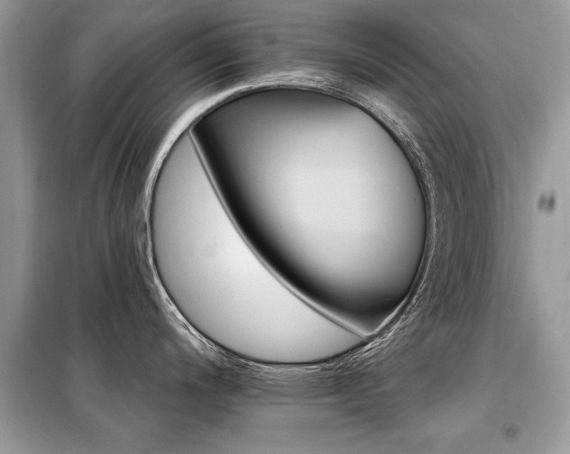 X0000099421200200805091235